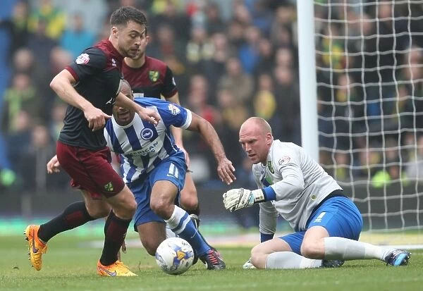 Brighton & Hove Albion vs Norwich City: Chris O'Grady's Action-Packed Performance in Sky Bet Championship 2015