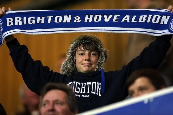 Brighton & Hove Albion vs. QPR: Away Game - September 18, 2013