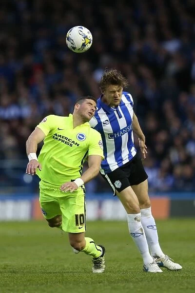 Brighton and Hove Albion vs Sheffield Wednesday: Sky Bet Championship Play-Off Clash at Hillsborough (May 2016)