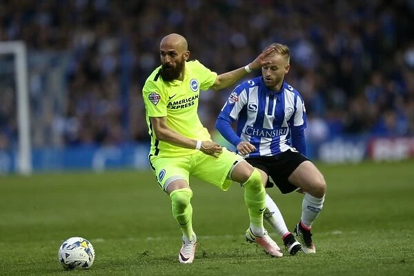 Brighton and Hove Albion vs. Sheffield Wednesday: Championship Play-Off Drama (May 2016)