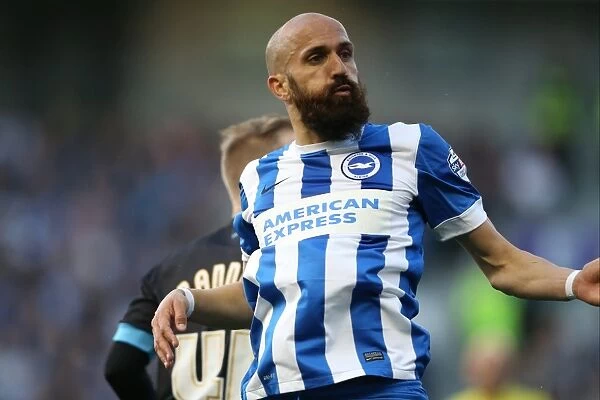Brighton and Hove Albion vs Sheffield Wednesday: Sky Bet Championship Play-Off Showdown (16 May 2016)