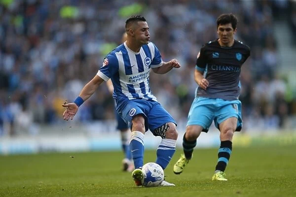 Brighton and Hove Albion vs. Sheffield Wednesday: Championship Play-Off Showdown at American Express Community Stadium (May 16, 2016)