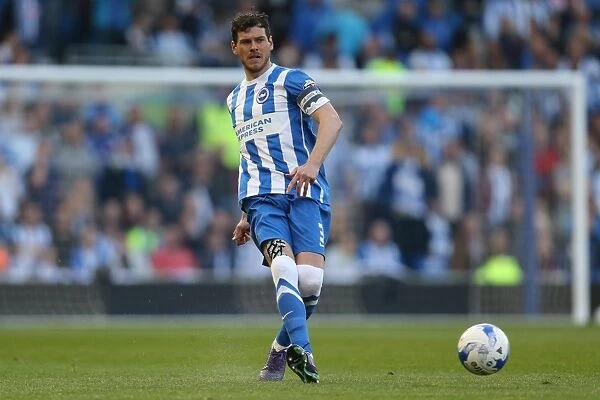 Brighton and Hove Albion vs. Sheffield Wednesday: Play-Off Showdown at the American Express Community Stadium (16 May 2016)
