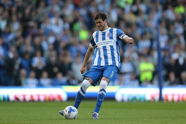 Brighton and Hove Albion vs Sheffield Wednesday: Play-Off Showdown at the American Express Community Stadium (16 May 2016)
