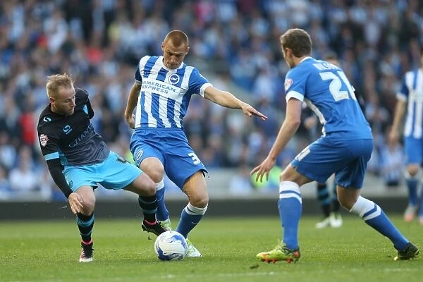 Brighton and Hove Albion vs Sheffield Wednesday: Play-Off Showdown at the American Express Community Stadium (May 16, 2016)