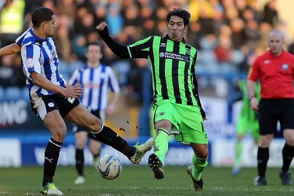 Brighton & Hove Albion vs Sheffield Wednesday: Leonardo Ulloa in Action, Npower Championship, February 2013