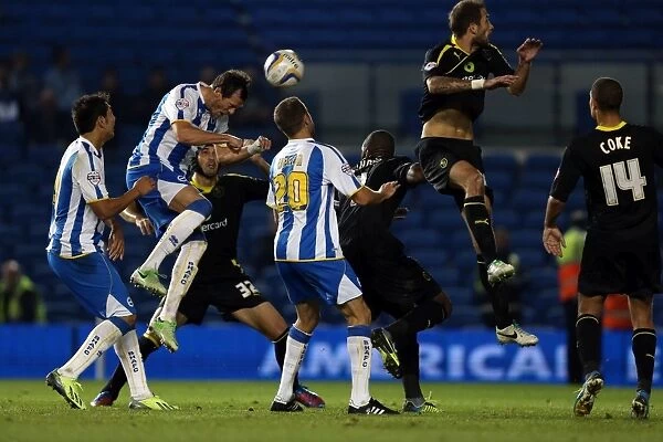Brighton & Hove Albion vs. Sheffield Wednesday (2013-10-01) - Home Game, 2013-14 Season