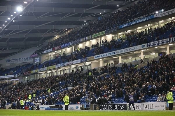 Brighton and Hove Albion vs Wigan Athletic: The Roaring Bulls in the Sky Bet Championship (Nov 2014)