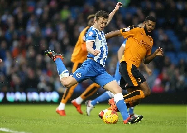 Brighton and Hove Albion vs. Wolverhampton Wanderers: A Battle in the Sky Bet Championship (01 / 01 / 2016)
