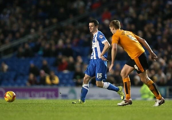 Brighton and Hove Albion vs. Wolverhampton Wanderers: A Sky Bet Championship Battle (01.01.2016)