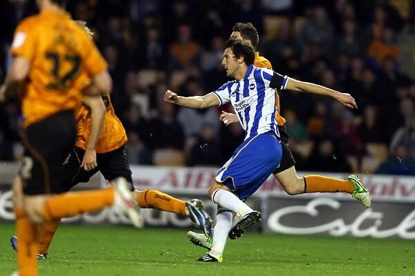 Brighton & Hove Albion vs. Wolves: Away Game - 10-11-2012