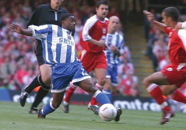 Brighton & Hove Albion's 2004 Play-off Final Triumph