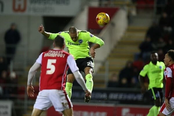 Brighton and Hove Albion's Dominant Performance: Rotherham United 1-4, January 12, 2016