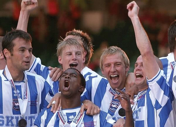 Brighton & Hove Albion's Glory: 2004 Play-off Final Victory