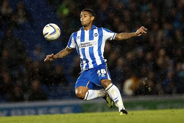 Brighton & Hove Albion's Liam Bridcutt: A Focused and Determined Force on the Football Field