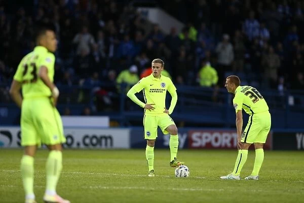 Brighton and Hove Albion's Play-Off Battle: Sheffield Wednesday Showdown (May 2016)