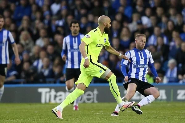 Brighton and Hove Albion's Play-Off Battle: Sheffield Wednesday vs. Brighton at Hillsborough (May 7, 2016)