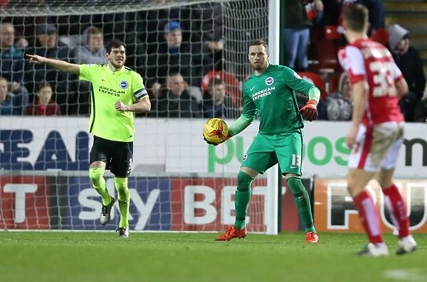 Brighton and Hove Albion's Triumph over Rotherham United in Sky Bet Championship (12 January 2016)