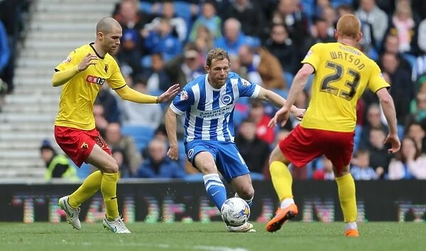 Brighton's Craig Mackail-Smith in Action: Sky Bet Championship Clash Against Watford (25 April 2015)