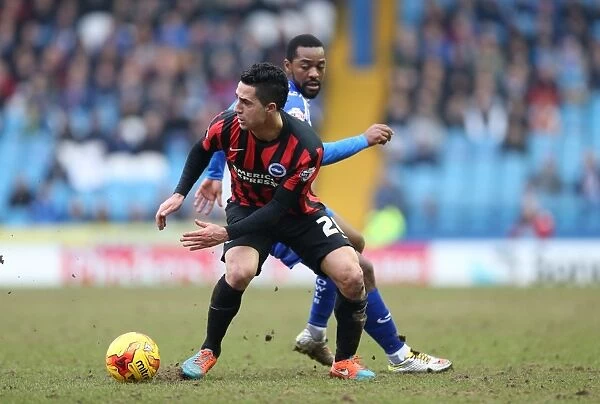 Brighton's Kayal in Action against Sheffield Wednesday, February 2015