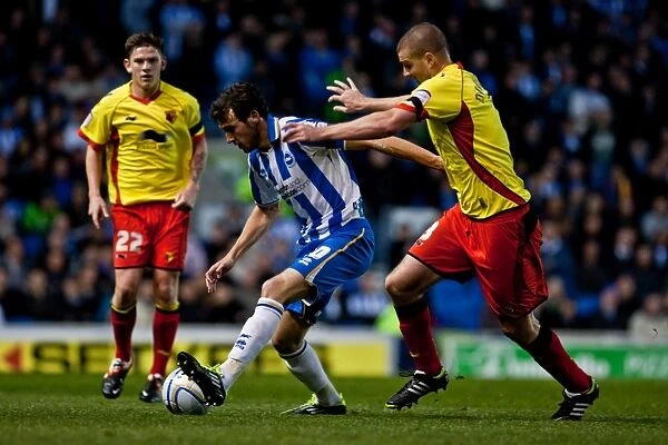 Will Buckley in Action: Brighton & Hove Albion vs Watford, April 17, 2012
