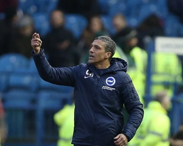 Chris Hughton Guides Brighton and Hove Albion at Sheffield Wednesday, Sky Bet Championship 2015
