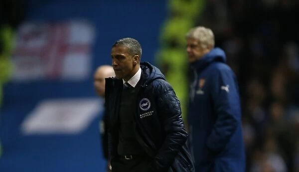Chris Hughton Leads Brighton and Hove Albion Against Arsenal in FA Cup Clash, January 2015
