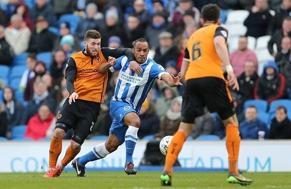 Chris O'Grady in Action: Brighton and Hove Albion vs. Wolverhampton Wanderers, Sky Bet Championship Clash (14th March 2015)