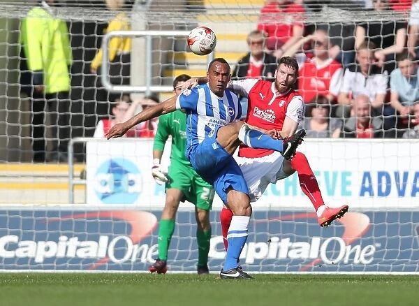 Chris O'Grady Faces Off: Rotherham United vs. Brighton and Hove Albion, Sky Bet Championship 2015