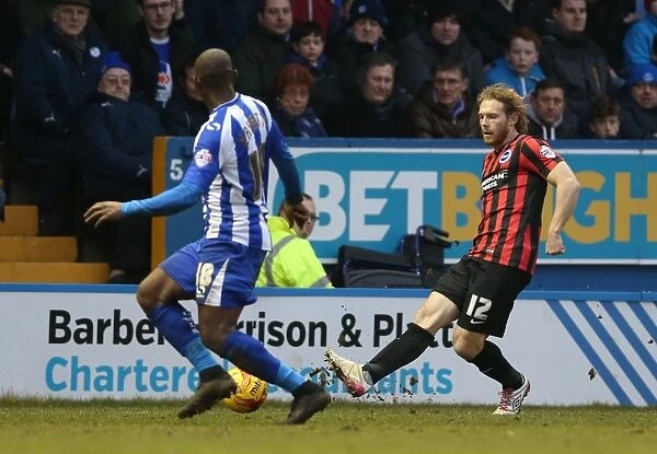 Craig Mackail-Smith in Action: Brighton's Striker Battles it Out at Sheffield Wednesday, Sky Bet Championship 2015