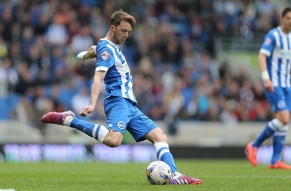 Dale Stephens: In Action Against Bournemouth, Sky Bet Championship, Brighton and Hove Albion, 25 April 2015