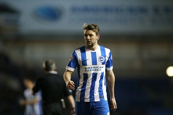 Dale Stephens in Action: Brighton and Hove Albion vs. Leeds United, 24 February 2015