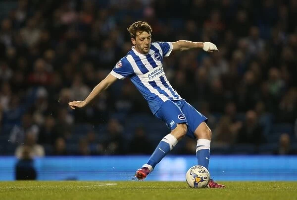 Dale Stephens: In Action for Brighton and Hove Albion vs. Huddersfield Town AFC, Sky Bet Championship, 14 April 2015