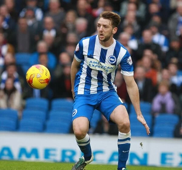 Dale Stephens in Action: Brighton and Hove Albion vs. Middlesbrough, Sky Bet Championship (19.12.2015)