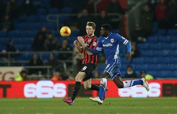 Dale Stephens in Action: Cardiff City vs. Brighton and Hove Albion, Sky Bet Championship 2015 - Midfielder's Determined Performance