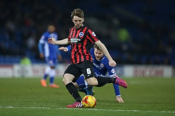 Dale Stephens in Action: Cardiff City vs. Brighton and Hove Albion, Sky Bet Championship 2015 - Midfielder's Determined Performance