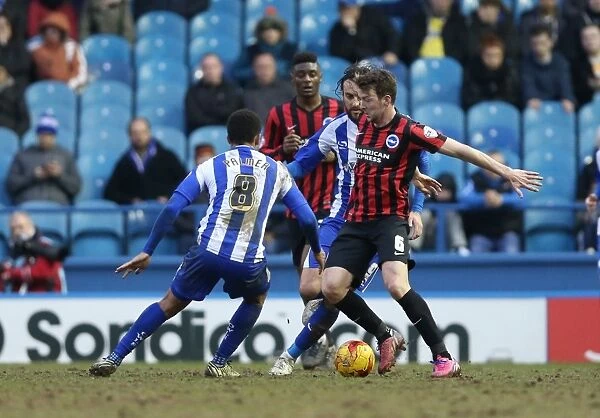 Dale Stephens in Action: Championship Showdown - Sheffield Wednesday vs. Brighton and Hove Albion (14FEB15)