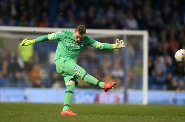 David Stockdale in Action: Brighton and Hove Albion vs Huddersfield Town AFC, Sky Bet Championship, American Express Community Stadium, 14th April 2015