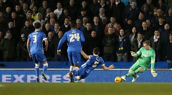David Stockdale: In Action Against Leeds United, 2015 (Brighton and Hove Albion vs Leeds United)