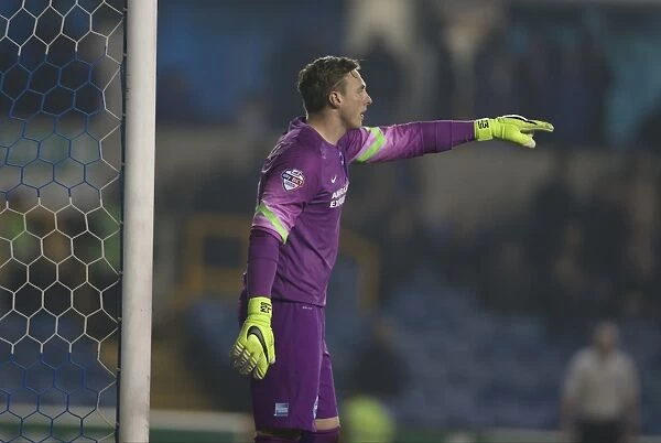 David Stockdale in Action: Millwall vs. Brighton and Hove Albion, Sky Bet Championship 2015 (17MAR15)