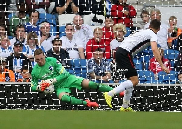David Stockdale's Spectacular Save: Brighton and Hove Albion vs. Rotherham United, American Express Community Stadium (October 2014)
