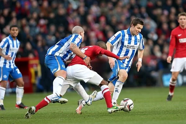 Dean Hammond: In Action at The Valley - Charlton Athletic vs. Brighton & Hove Albion, Npower Championship (Dec 8, 2012)