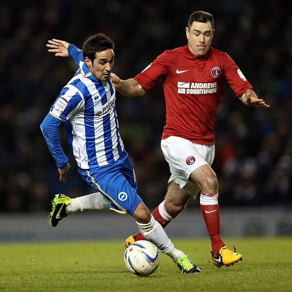 Determined Vicente: Brighton & Hove Albion's Victory Against Charlton Athletic, April 2, 2013 (NPower Championship, Amex Stadium)