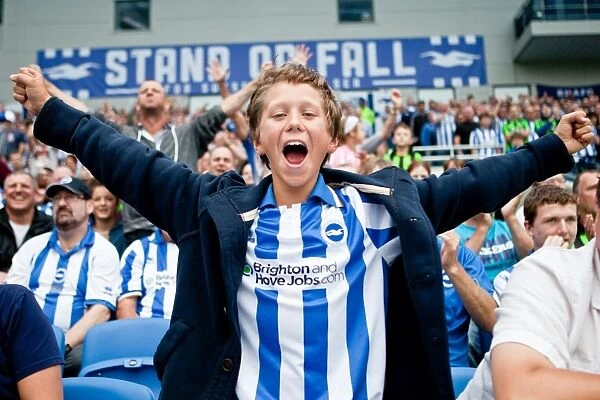 Electric Atmosphere at The Amex: Brighton & Hove Albion FC Crowd Shots (2012-2013)