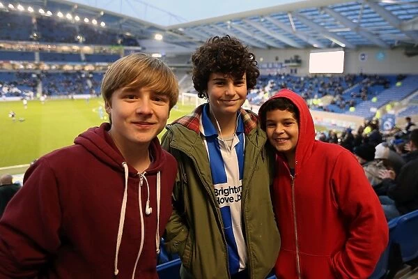 The Electric Atmosphere of Brighton & Hove Albion's Amex Stadium (2012-2013): A Collection of Exciting Crowd Shots