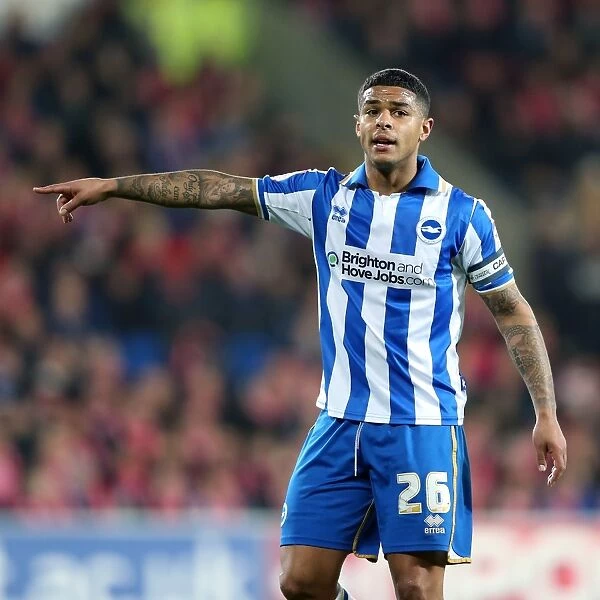 Focused and Determined: Liam Bridcutt in Action for Brighton and Hove Albion FC