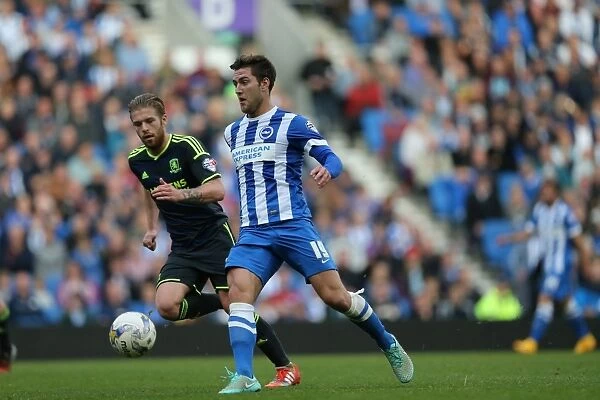 Gary Gardner in Action: Brighton and Hove Albion vs. Middlesbrough, October 18, 2014