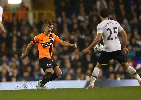 Gary Gardner in Action: Tottenham vs. Brighton & Hove Albion, Capital One Cup, 2014
