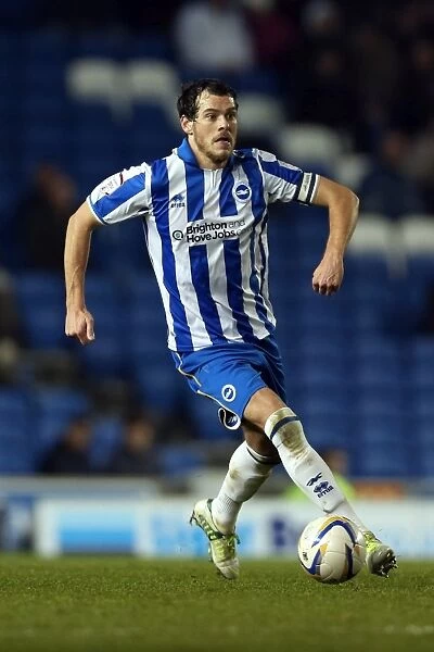 Gordon Greer of Brighton & Hove Albion Amex Stadium, December 12, 2012: Portrait Amidst the Brighton Forest during the Match against Millwall