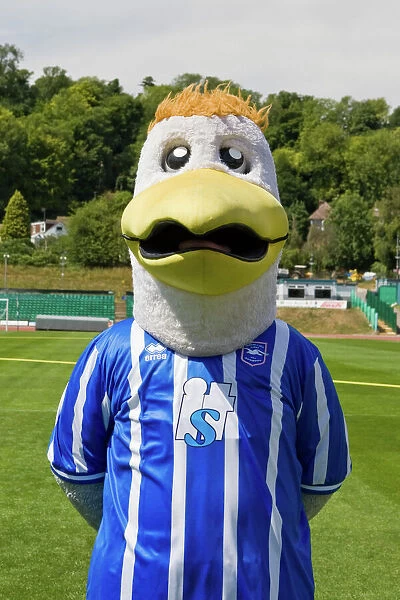 Gully in his 2010-11 home kit